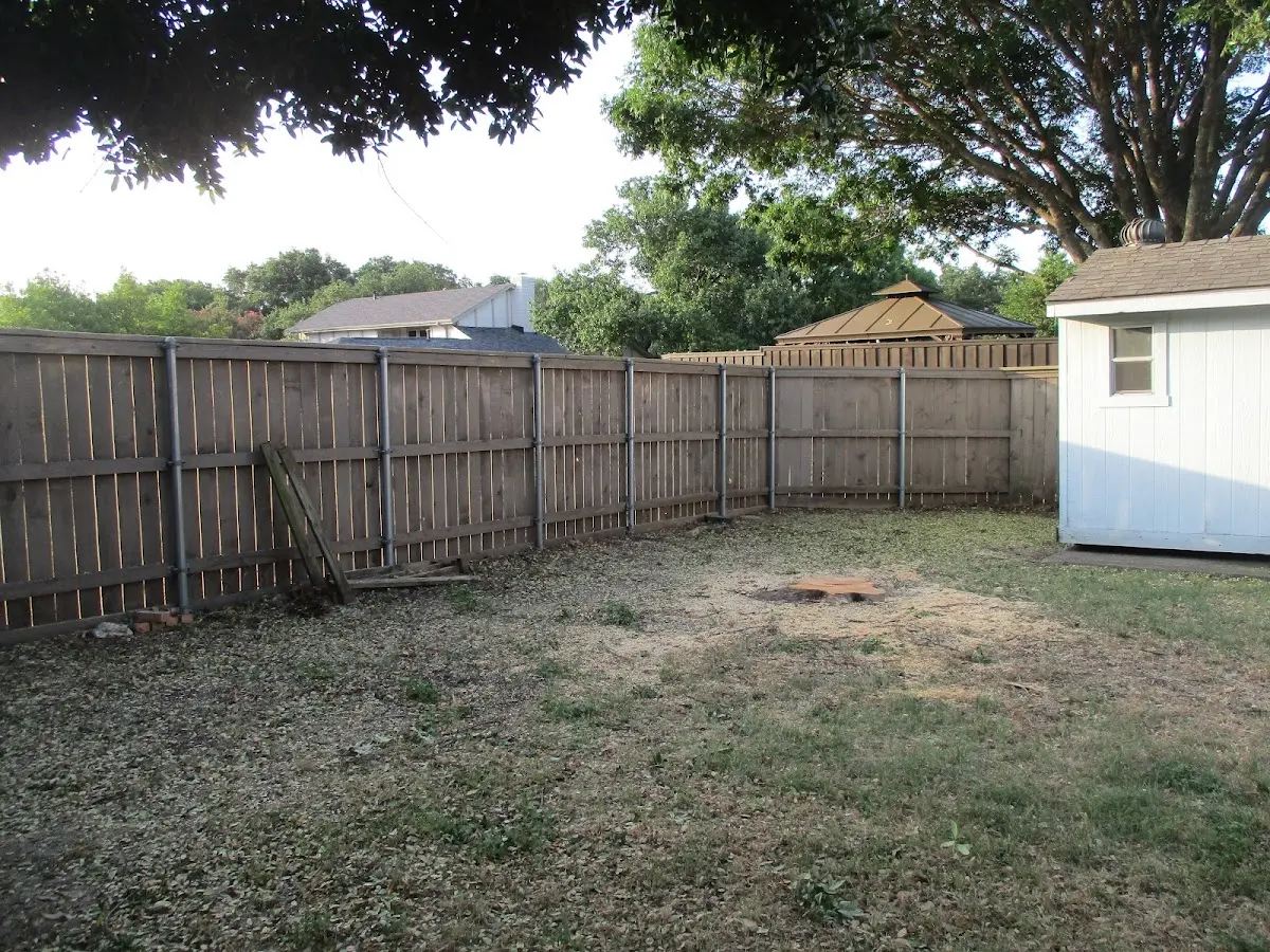 Cleared yard after professional tree removal in Terrace Park