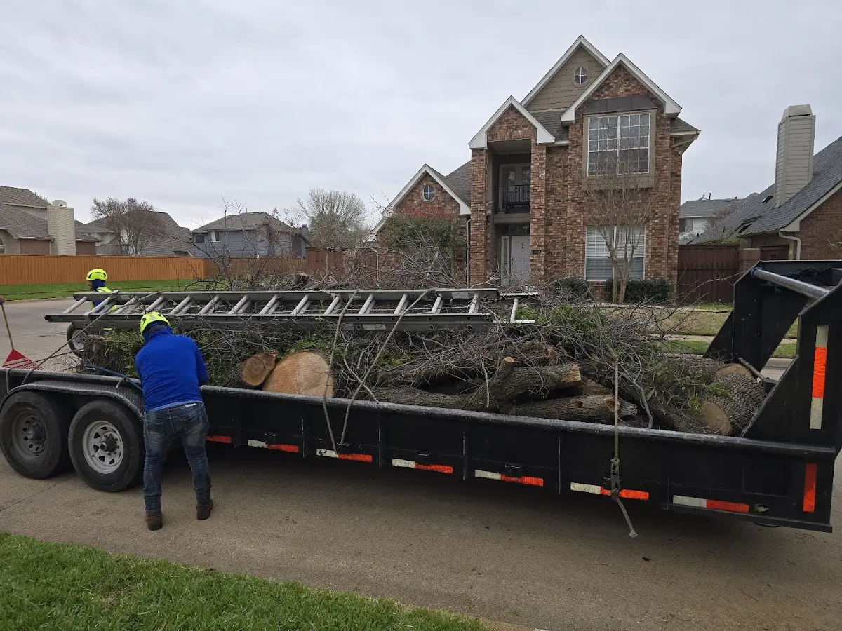 Expert Crown Reduction with proper safety equipment in Terrace Park
